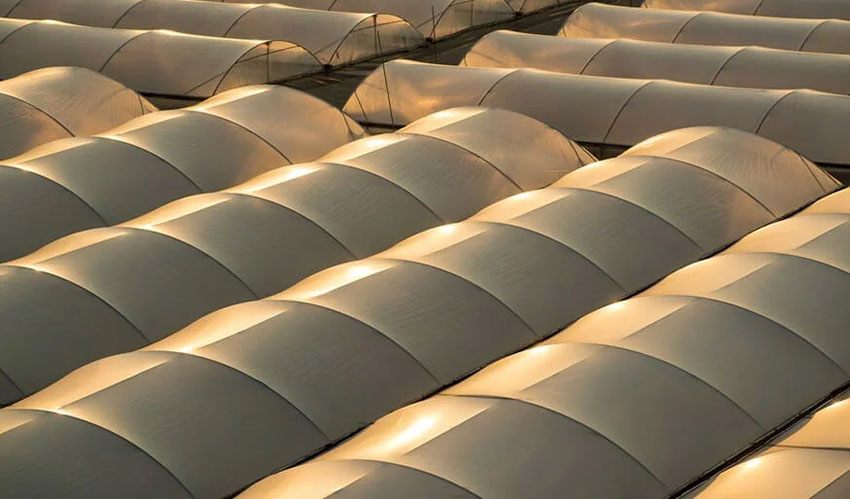 紫外線吸收劑在農業薄膜中的應用